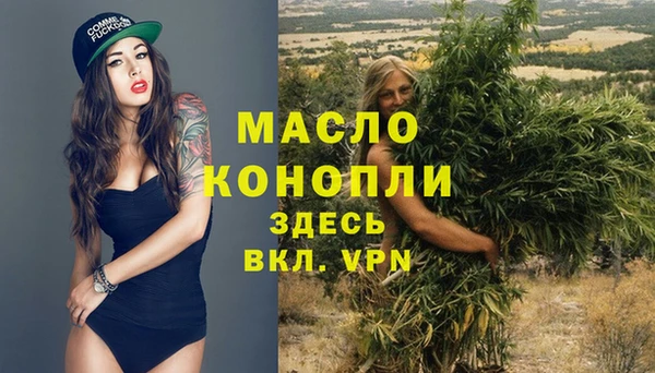 хмурый Мегион