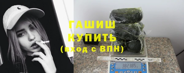 хмурый Мегион