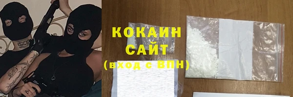 хмурый Мегион