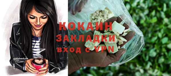 хмурый Мегион