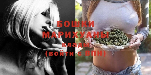 хмурый Мегион