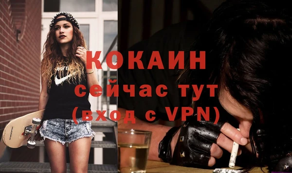 хмурый Мегион