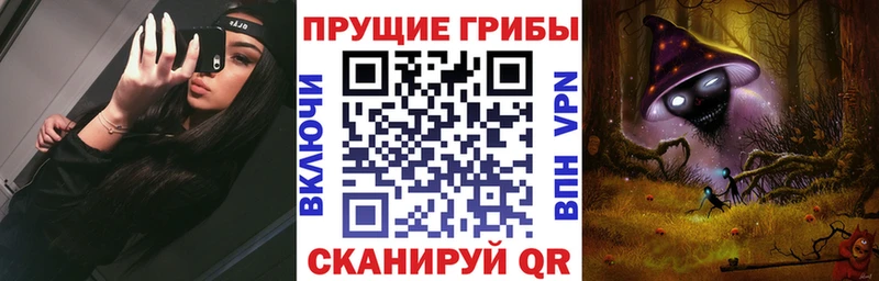 наркота  Невьянск  Галлюциногенные грибы Psilocybine cubensis 